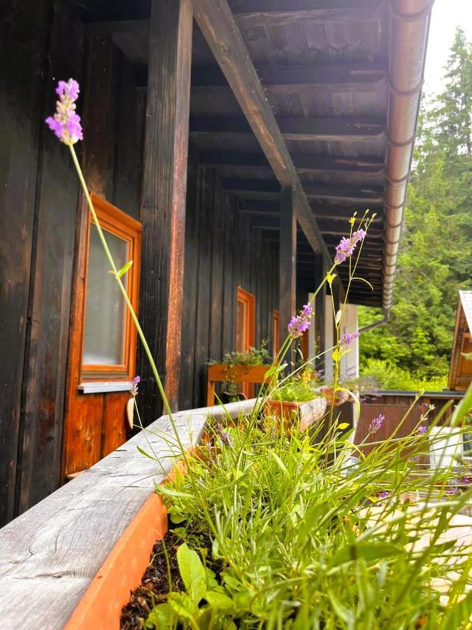 Toni Huette Am Riesserkopf Garmisch-Partenkirchen Ngoại thất bức ảnh